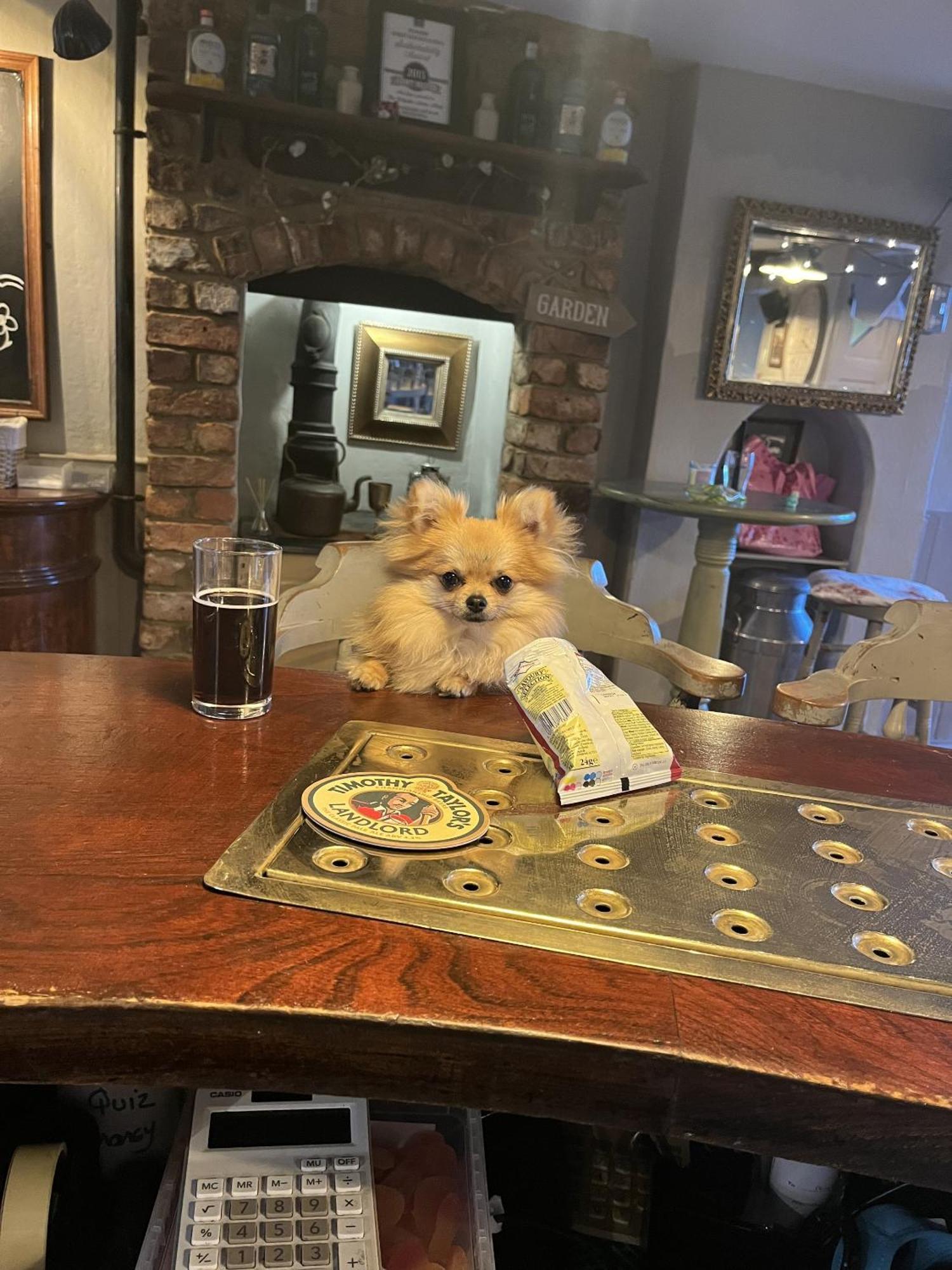 אבוטסבורי The Ilchester Arms Hotel מראה חיצוני תמונה